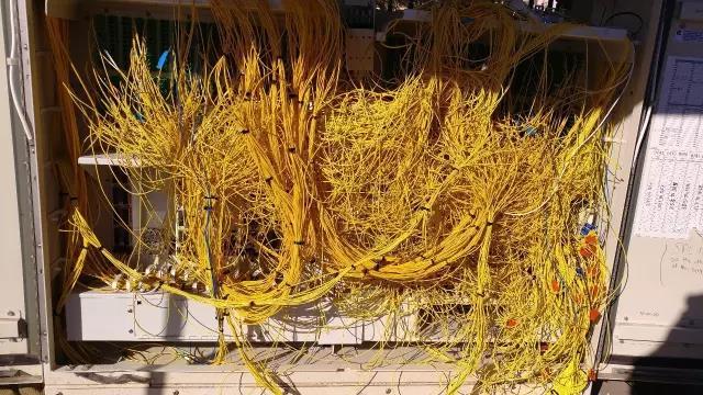 ʵ�������粼�������缶����