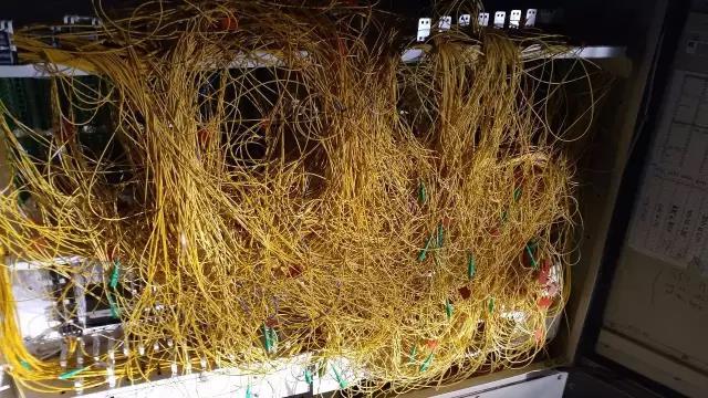 ʵ�������粼�������缶����
